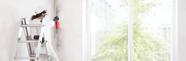 Mold Remediation for Rental Properties in Elm City, NC